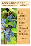 Bild "Kirchennachrichten:gbdd2010_min.jpg"